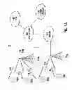 Fig. 02 - Method and apparatus for supporting machine-to-machine communications