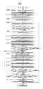 Fig. 11 - Communication device and communication method