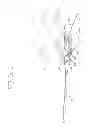 Fig. 02 - THIN AIRFOIL CEILING FAN BLADE