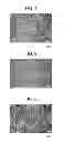 Fig. 02 - Method for producing molybdenum target