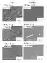 Fig. 01 - Re-added Ni-based dual multi-phase intermetallic compound alloy and method for producing the same