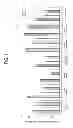 Fig. 02 - ORAL COMPOSITION