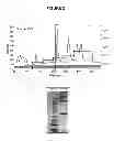 Fig. 03 - Conjugated Factor VIII Molecules