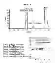 Fig. 04 - Conjugated Factor VIII Molecules