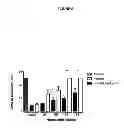 Fig. 06 - Conjugated Factor VIII Molecules