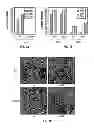 Fig. 02 - Methods and compositions related to immunizing against Staphylococcal lung diseases and conditions