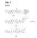 Fig. 09 - Antiproliferative compounds, conjugates thereof, methods therefor, and uses thereof