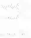 Fig. 49 - Antiproliferative compounds, conjugates thereof, methods therefor, and uses thereof