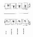 Fig. 06 - TCR Complex Immunotherapeutics