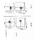 Fig. 07 - TCR Complex Immunotherapeutics