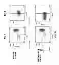 Fig. 20 - TCR Complex Immunotherapeutics