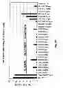 Fig. 24 - TCR Complex Immunotherapeutics