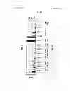 Fig. 34 - TCR Complex Immunotherapeutics