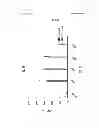 Fig. 72 - TCR Complex Immunotherapeutics