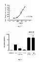 Fig. 04 - IL-27 Antagonists for Treating Inflammatory Diseases