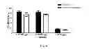 Fig. 09 - IL-27 Antagonists for Treating Inflammatory Diseases