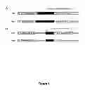 Fig. 02 - PROTEIN DOMAINS AND USES THEREFOR