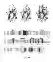 Fig. 34 - PROTEIN DOMAINS AND USES THEREFOR