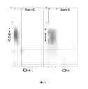 Fig. 02 - METHODS FOR ISOLATING AND USING A SUBSET OF CD8 T-CELLS THAT ARE RESISTANT TO CYCLOSPORIN