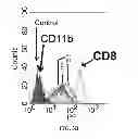 Fig. 06 - METHODS FOR ISOLATING AND USING A SUBSET OF CD8 T-CELLS THAT ARE RESISTANT TO CYCLOSPORIN