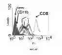 Fig. 07 - METHODS FOR ISOLATING AND USING A SUBSET OF CD8 T-CELLS THAT ARE RESISTANT TO CYCLOSPORIN