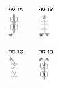Fig. 02 - Carrier immunoglobulins and uses thereof