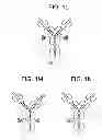 Fig. 06 - Carrier immunoglobulins and uses thereof