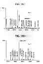 Fig. 49 - Carrier immunoglobulins and uses thereof