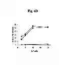 Fig. 08 - RAPID, EFFICIENT PURIFICATION OF HSV-SPECIFIC T-LYMPHOCYTES AND HSV ANTIGENS IDENTIFIED VIA SAME