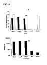 Fig. 22 - RAPID, EFFICIENT PURIFICATION OF HSV-SPECIFIC T-LYMPHOCYTES AND HSV ANTIGENS IDENTIFIED VIA SAME