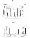 Fig. 02 - IMMUNOTHERAPEUTIC METHOD USING ARTIFICIAL ADJUVANT VECTOR CELLS THAT CO-EXPRESS CD1D AND TARGET ANTIGEN