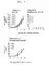 Fig. 04 - IMMUNOTHERAPEUTIC METHOD USING ARTIFICIAL ADJUVANT VECTOR CELLS THAT CO-EXPRESS CD1D AND TARGET ANTIGEN