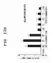 Fig. 09 - IMMUNOTHERAPEUTIC METHOD USING ARTIFICIAL ADJUVANT VECTOR CELLS THAT CO-EXPRESS CD1D AND TARGET ANTIGEN