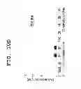 Fig. 11 - IMMUNOTHERAPEUTIC METHOD USING ARTIFICIAL ADJUVANT VECTOR CELLS THAT CO-EXPRESS CD1D AND TARGET ANTIGEN