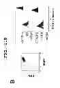 Fig. 13 - IMMUNOTHERAPEUTIC METHOD USING ARTIFICIAL ADJUVANT VECTOR CELLS THAT CO-EXPRESS CD1D AND TARGET ANTIGEN
