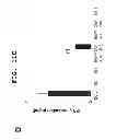 Fig. 15 - IMMUNOTHERAPEUTIC METHOD USING ARTIFICIAL ADJUVANT VECTOR CELLS THAT CO-EXPRESS CD1D AND TARGET ANTIGEN