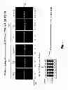 Fig. 02 - Methods of producing influenza vaccine compositions