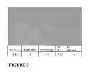 Fig. 08 - Parental Composition Comprising Microsperes with a Diameter between 10 and 20 Microns