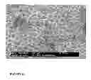Fig. 09 - Parental Composition Comprising Microsperes with a Diameter between 10 and 20 Microns