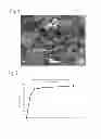 Fig. 02 - Antibacterial and osteoinductive implant coating, method of producing such coating, and implant coated with same