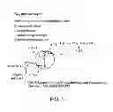 Fig. 02 - WOUND CARE SYSTEM AND BACTERIDICAL METHODS AND DEVICES