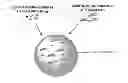 Fig. 01 - DRUG DELIVERY SYSTEMS AND METHODS OF USE