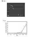 Fig. 04 - DRUG DELIVERY SYSTEMS AND METHODS OF USE