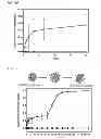 Fig. 06 - DRUG DELIVERY SYSTEMS AND METHODS OF USE