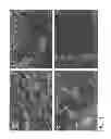 Fig. 02 - Methods and apparatus for manufacturing plasma based plastics and bioplastics produced therefrom