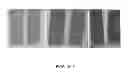 Fig. 10 - BIOCIDAL IRON OXIDE COATING, METHODS OF MAKING, AND METHODS OF USE