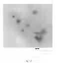 Fig. 28 - BIOCIDAL IRON OXIDE COATING, METHODS OF MAKING, AND METHODS OF USE