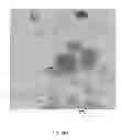 Fig. 33 - BIOCIDAL IRON OXIDE COATING, METHODS OF MAKING, AND METHODS OF USE
