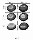 Fig. 42 - BIOCIDAL IRON OXIDE COATING, METHODS OF MAKING, AND METHODS OF USE