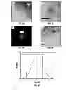 Fig. 09 - LOW PRESSURE HIGH FREQUENCY PULSED PLASMA REACTOR FOR PRODUCING NANOPARTICLES